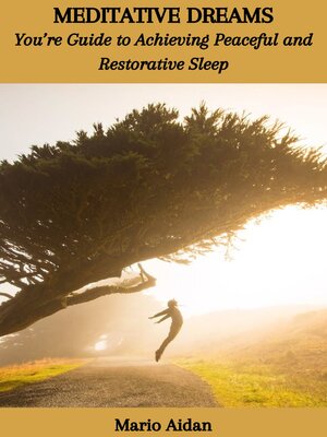 cover image of MEDITATIVE DREAMS